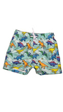 Load image into Gallery viewer, Boys boardshorts - Daring Dinosaurs