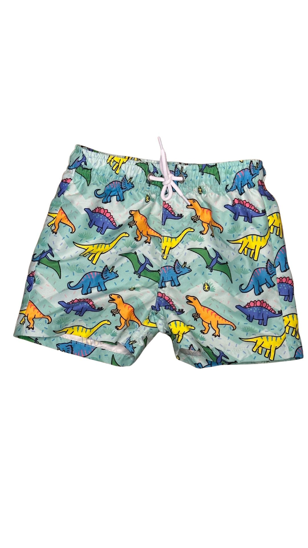 Boys boardshorts - Daring Dinosaurs